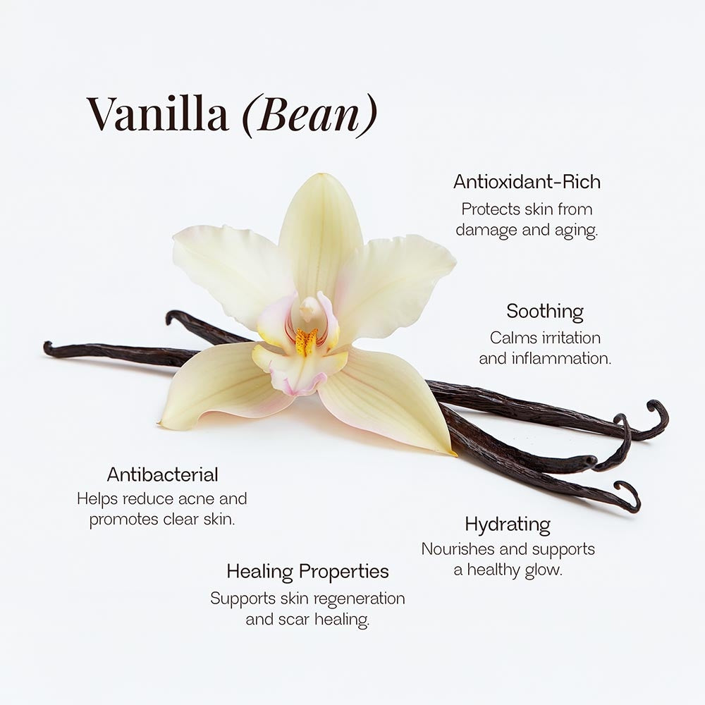 Whipped Beef Tallow Balm with Vanilla Bean (Organic Face Cream, Body Lotion, and Lip Balm)